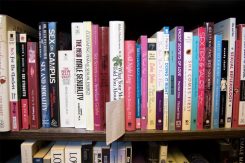 Photograph of sexual studies books on a shelf.
